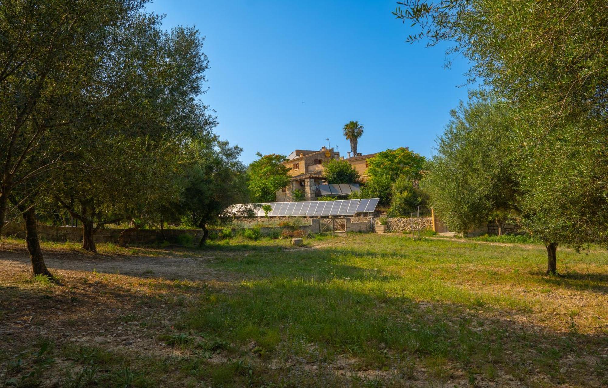 Ses Cases D'alcudiola Appartement Santa Margalida