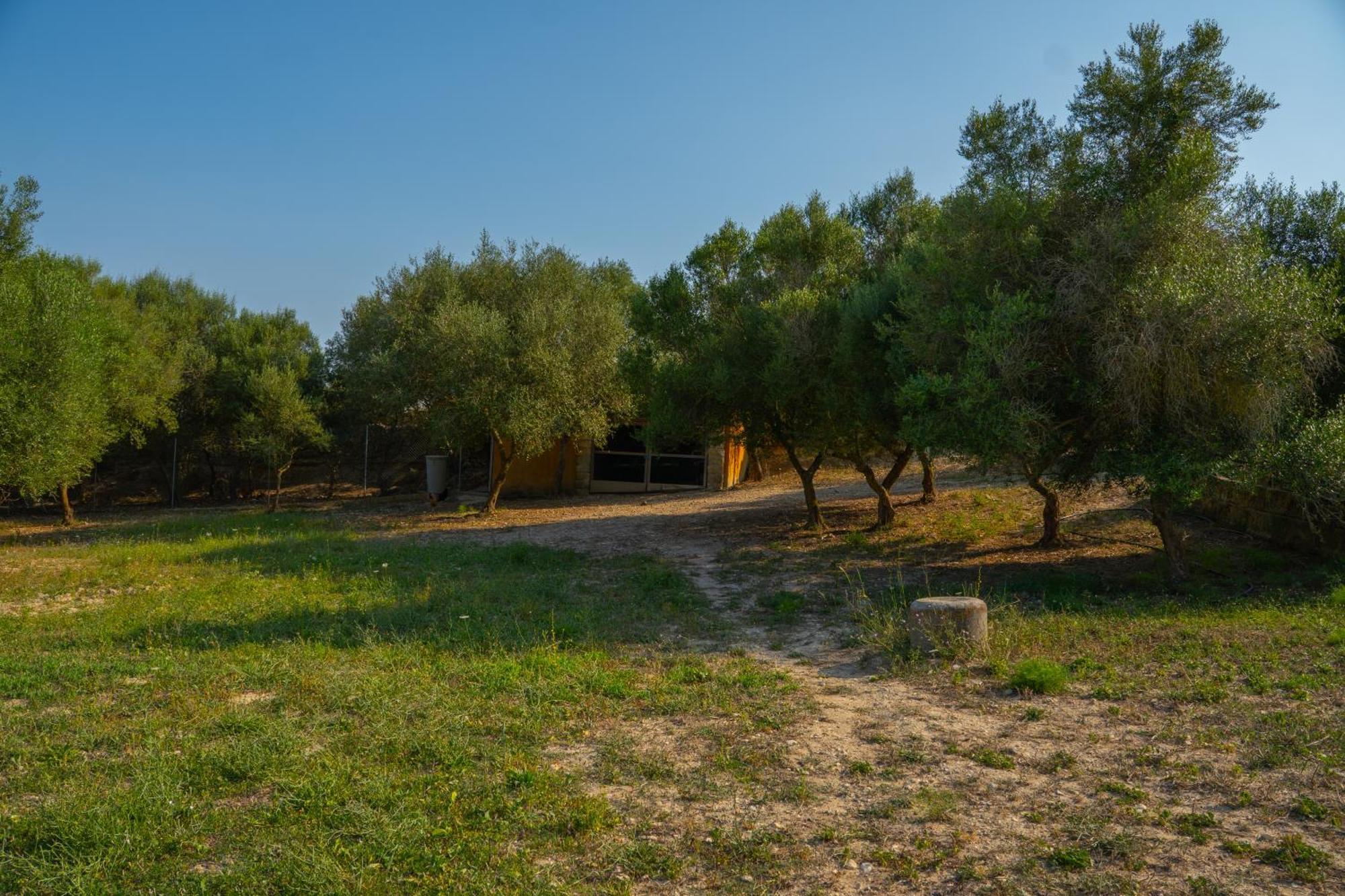 Ses Cases D'alcudiola Appartement
